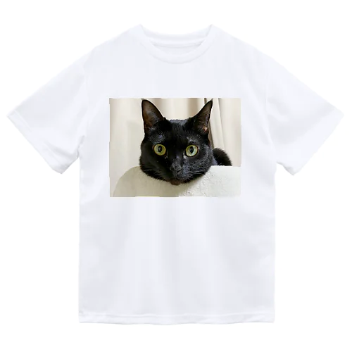 黒猫komo ドライTシャツ