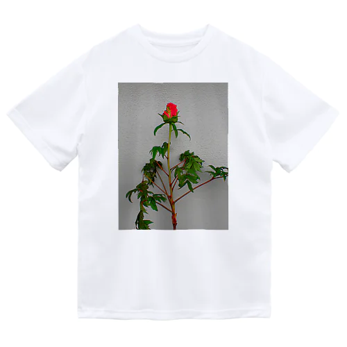 Flower01 peony ドライTシャツ