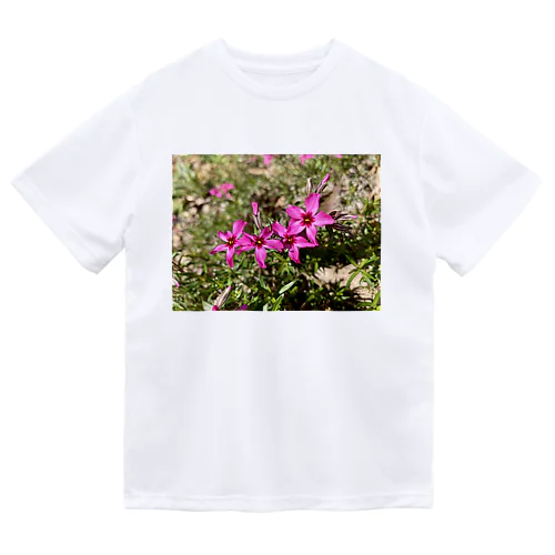 シバザクラ Dry T-Shirt