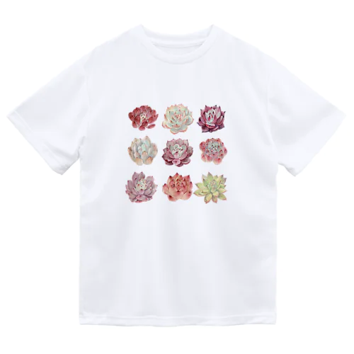 多肉植物　エケベリア ドライTシャツ