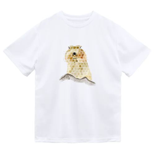 亀甲 × エチオピアオオタケネズミ Dry T-Shirt