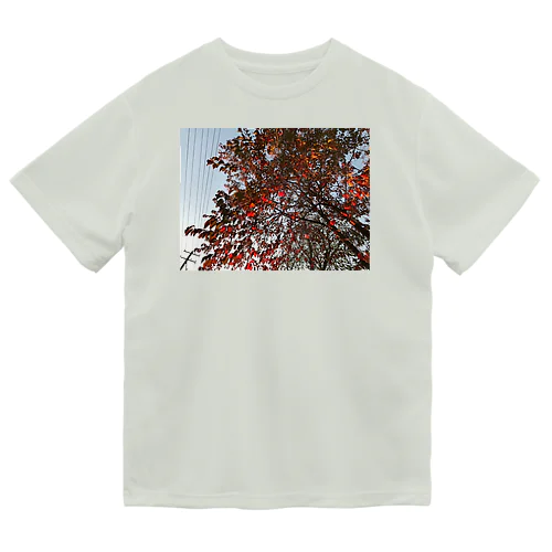 201910181619002　桜の紅葉 ドライTシャツ