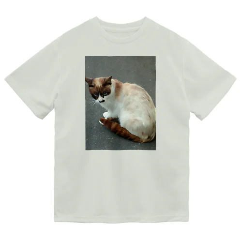 201408161744000　焦げ目の猫 Dry T-Shirt