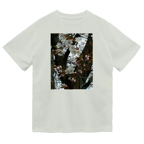 201605121700000　曇り日の桜 Dry T-Shirt