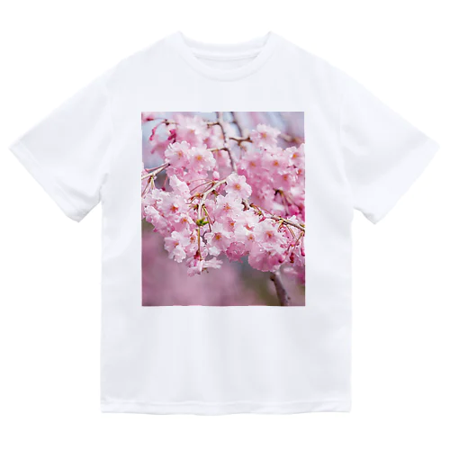 癒しの風景（八重桜） Dry T-Shirt