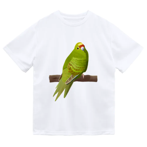 キガシラアオハシインコ(前面プリント) ドライTシャツ