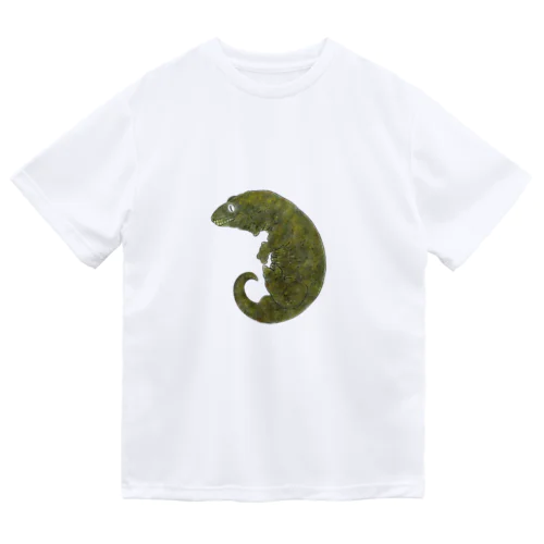 苔むすジャイゲコ Dry T-Shirt