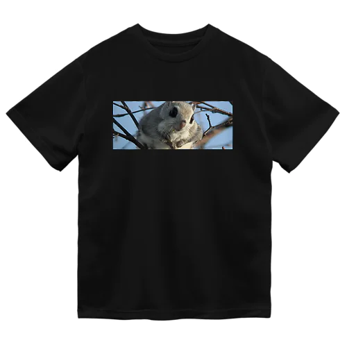 【#癒しの即戦力】サロベツのエゾモモンガ Dry T-Shirt