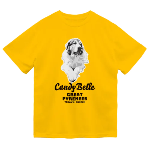 今日のルンルン　Candy Belle Dry T-Shirt
