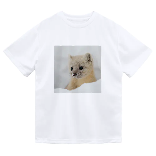 【心とカラダの栄養】サロベツのエゾクロテン Dry T-Shirt