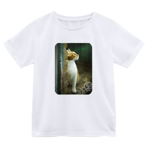 ウクライナの猫 MurchikくんとNikotinくん♡ Cats ♡ Ukrainian cats #ウクライナ 本と猫 Donation Items ドライTシャツ