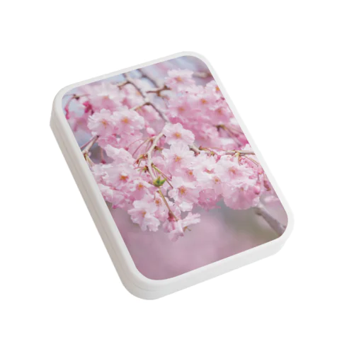 癒しの風景（八重桜） Flat Tin Case