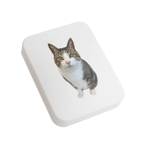 ポテチくん Flat Tin Case