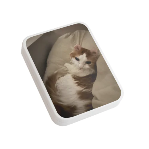 呼ばれて振り返るてんし Flat Tin Case