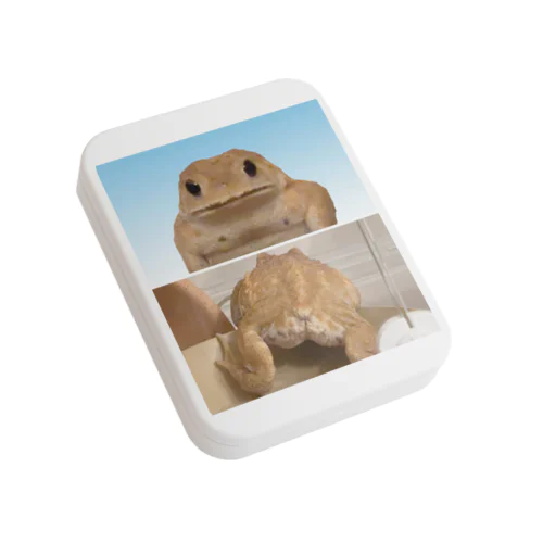 おちりと おっパイ Flat Tin Case