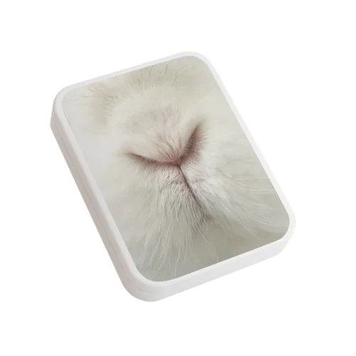 Y Flat Tin Case