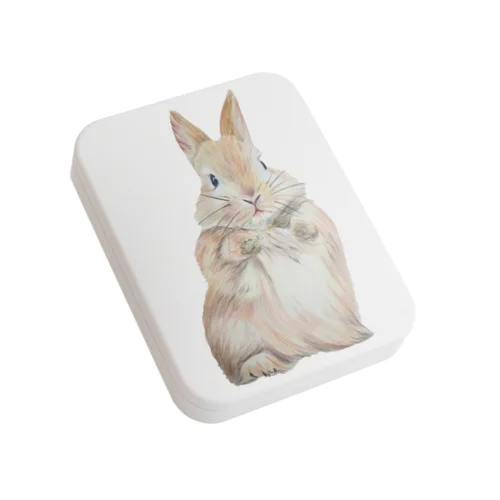 【色鉛筆画】うさぎさん🐰 Flat Tin Case