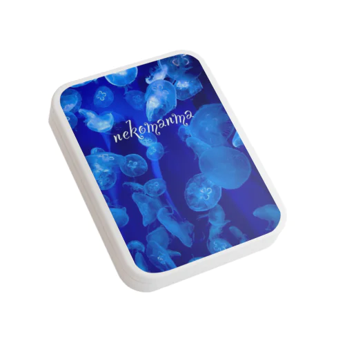 Fantasy of JerryFish  Flat Tin Case