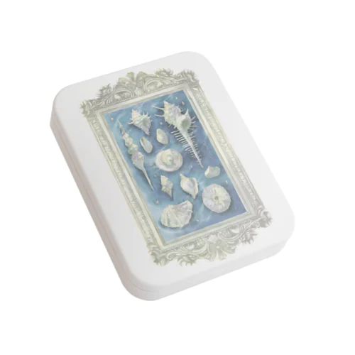 Shell specimen Flat Tin Case
