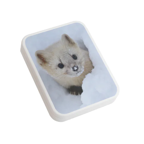 【春の心と体に栄養】サロベツのエゾクロテン Flat Tin Case