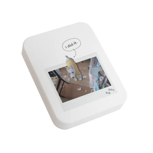 Ray「I did it.」 Flat Tin Case