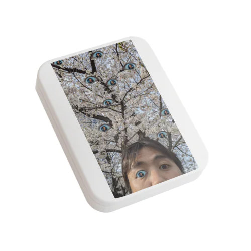 目が出て Flat Tin Case