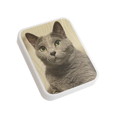 絵画風ふく Flat Tin Case