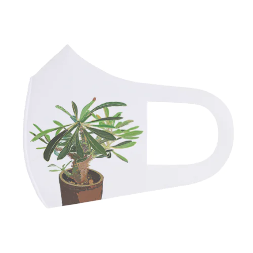 Pachypodium densiflorum Face Mask