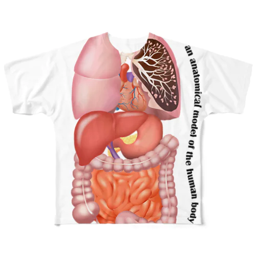 人体臓器デザイン フルグラフィックTシャツ