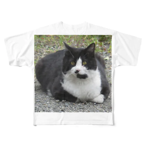 野良猫_正 All-Over Print T-Shirt