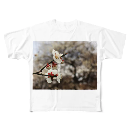 梅　ウメ　Japanese　apricot DATA_P_098　春　spring フルグラフィックTシャツ