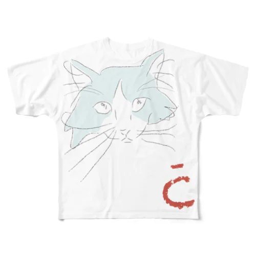 C01  フルグラフィックTシャツ