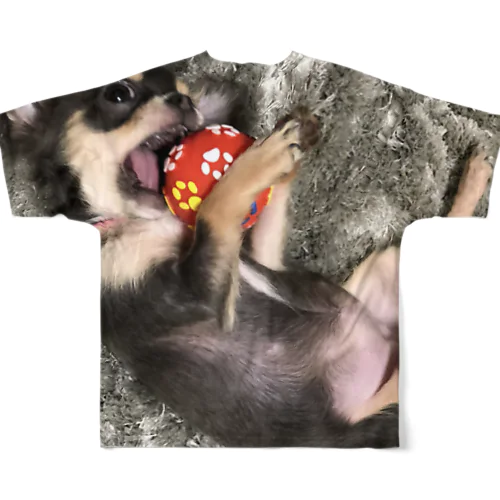 フルグラフィックTシャツ