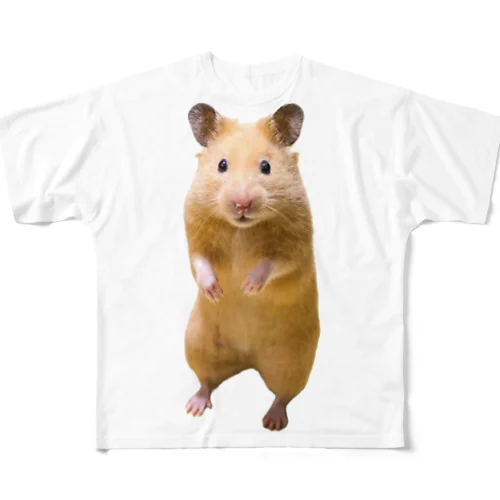 キンクマハムスターのめんち フルグラフィックTシャツ