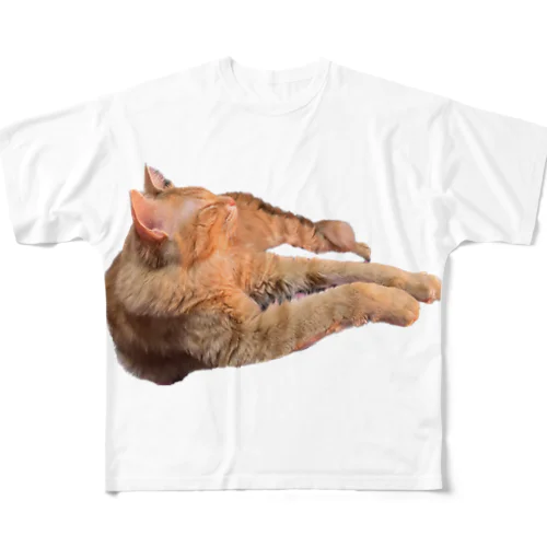 ヒーターの目の前にいるお猫様 フルグラフィックTシャツ