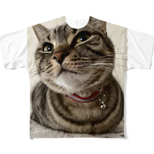 まるっとしたねこ フルグラフィックTシャツ