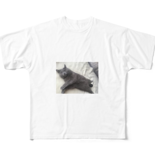 股間隠し All-Over Print T-Shirt