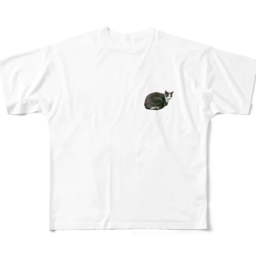 パピコＴシャツ All-Over Print T-Shirt