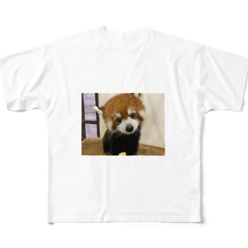 レッサーパンダ All-Over Print T-Shirt