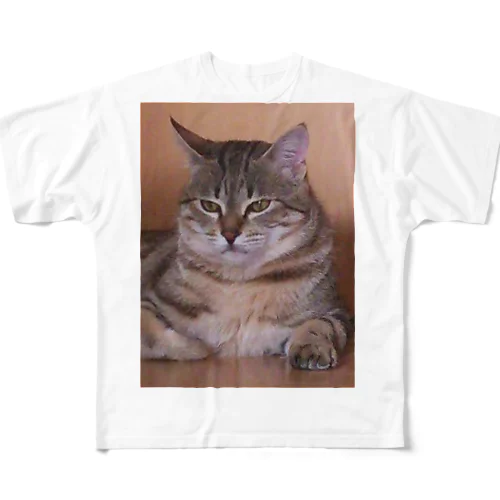 nyan2(ニャンタ) All-Over Print T-Shirt