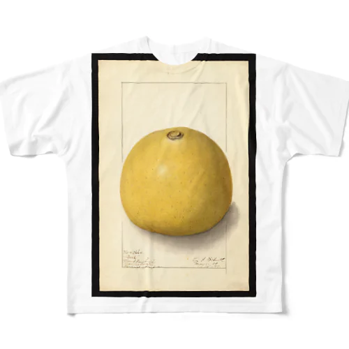 Aegle marmelos  フルグラフィックTシャツ