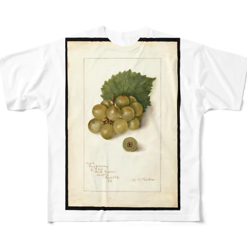 Scuppernong  フルグラフィックTシャツ