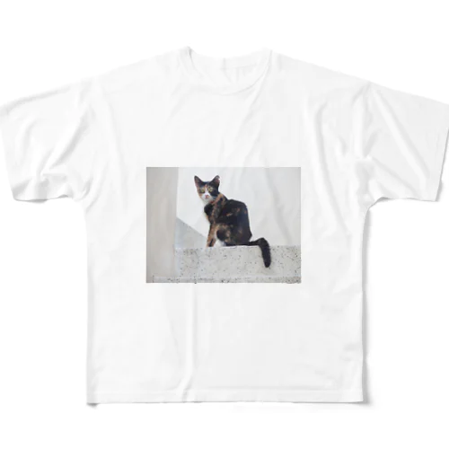 猫好きの聖地、マルタ島の猫さん フルグラフィックTシャツ