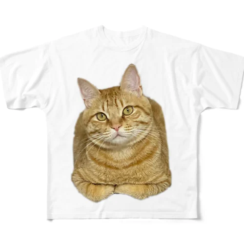 てんぷら All-Over Print T-Shirt