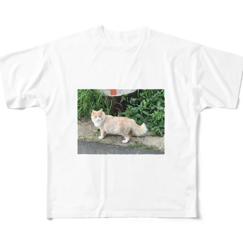 綺麗な猫 フルグラフィックTシャツ