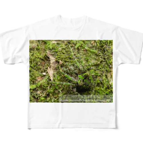 カクレコケオニグモ All-Over Print T-Shirt