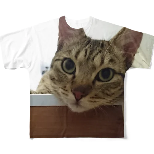 猫縁～ねこえん～ことら君 All-Over Print T-Shirt