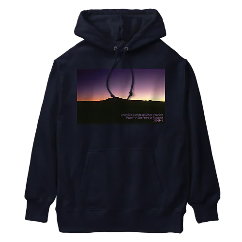 color_004 Heavyweight Hoodie