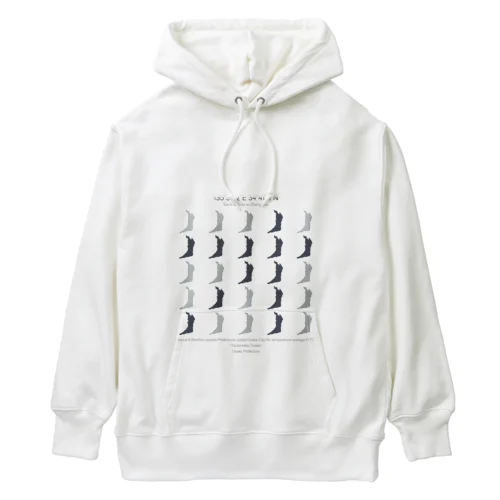 大阪府（オオサカのオ） Heavyweight Hoodie