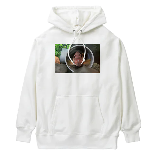 土管に踏ん張るアカハタさん Heavyweight Hoodie